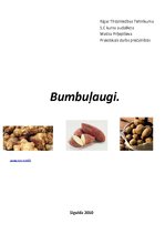 Konspekts 'Bumbuļaugi', 1.