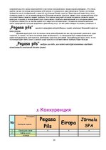 Referāts 'Анализ предпринимательской деятельности гостиницы "Pegasa pils"', 20.