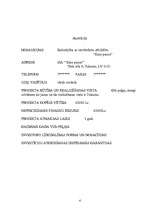 Biznesa plāns 'SIA "XXX"', 4.