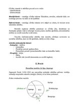 Konspekts 'Attīstības psiholoģijas teorijas', 2.