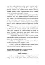 Referāts 'Mandalas', 6.