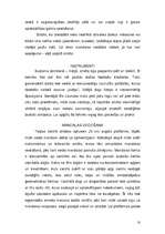 Referāts 'Mandalas', 10.