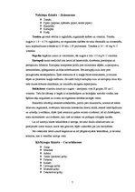 Referāts 'Tomātu audzēšana', 7.