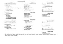 Konspekts 'Anatomija. Kauli', 1.
