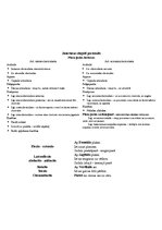 Konspekts 'Anatomija. Kauli', 8.