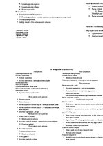 Konspekts 'Anatomija. Kauli', 15.