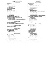 Konspekts 'Anatomija. Kauli', 17.