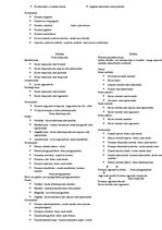 Konspekts 'Anatomija. Kauli', 22.