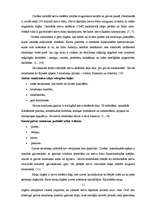 Referāts 'Disleksija kā viens no mācīšanās traucējumiem', 11.