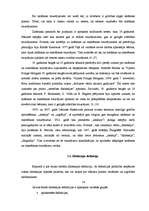 Referāts 'Disleksija kā viens no mācīšanās traucējumiem', 14.