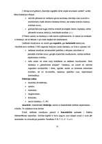 Referāts 'Disleksija kā viens no mācīšanās traucējumiem', 16.