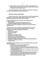 Referāts 'Latvijas apdrošināšanas tirgus raksturojums', 10.