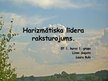 Prezentācija 'Harizmātiska līdera raksturojums', 1.