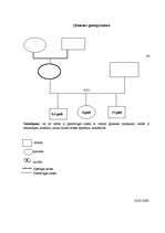 Referāts 'Sociālā gadījuma risināšana', 4.