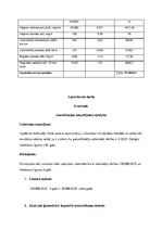 Konspekts 'Dzelceļa uzņēmuma darba organizācija un vadība', 5.