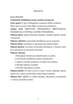 Diplomdarbs 'Profesionālās identifikācijas process jauniešu vecumposmā', 14.