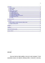 Referāts 'Veikalu skatlogu ietekme uz patērētājiem', 2.