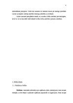 Referāts 'Veikalu skatlogu ietekme uz patērētājiem', 4.