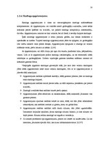 Referāts 'Veikalu skatlogu ietekme uz patērētājiem', 20.