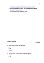 Referāts 'Veikalu skatlogu ietekme uz patērētājiem', 35.