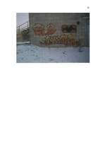 Referāts 'Grafiti', 13.