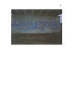 Referāts 'Grafiti', 19.