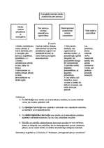 Konspekts 'Korozija', 1.