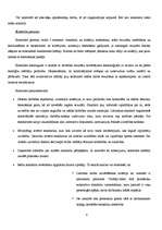 Konspekts 'Kontrole un kontroles efektivitāte', 4.