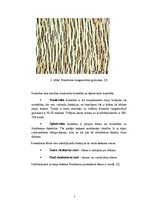 Konspekts 'Bumbieres koksne', 7.