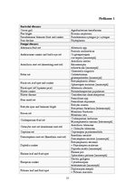 Konspekts 'Bumbieres koksne', 13.