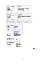 Konspekts 'Bumbieres koksne', 15.