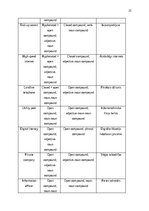 Referāts 'The prevalence of compounding as a term formation pattern in the informative tex', 23.