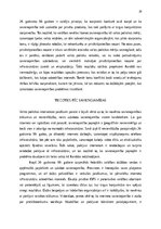 Referāts 'The prevalence of compounding as a term formation pattern in the informative tex', 29.