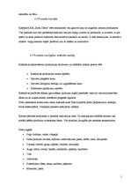 Biznesa plāns 'SIA "Rožu Dārzs"', 5.