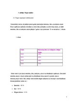 Biznesa plāns 'SIA "Rožu Dārzs"', 7.