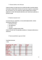 Biznesa plāns 'SIA "Rožu Dārzs"', 13.