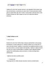 Biznesa plāns 'SIA "Rožu Dārzs"', 17.