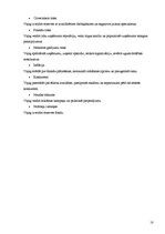 Biznesa plāns 'SIA "Rožu Dārzs"', 18.