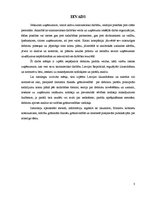 Referāts 'Debitoru uzskaite uzņēmumā', 3.