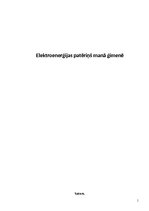 Referāts 'Elektroenerģijas patēriņš manā ģimenē', 1.