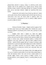 Referāts 'Ražošanas vadība "Inditex"', 7.