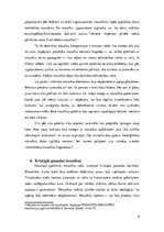 Referāts 'Agrīnās kristietības un Bizantijas impērijas mozaīkas Ravennā', 6.