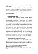 Referāts 'Agrīnās kristietības un Bizantijas impērijas mozaīkas Ravennā', 8.