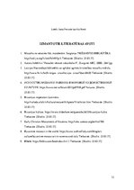 Referāts 'Agrīnās kristietības un Bizantijas impērijas mozaīkas Ravennā', 12.