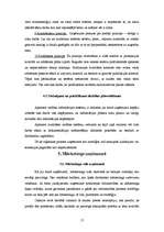 Prakses atskaite 'Prakses atskaite uzņēmuma vadībā', 17.