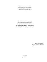 Referāts 'Uzņēmējdarbības izmaksas', 1.