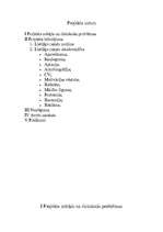 Referāts 'Lietišķie raksti', 2.