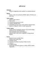 Referāts 'Lietišķie raksti', 9.