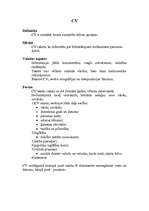 Referāts 'Lietišķie raksti', 13.