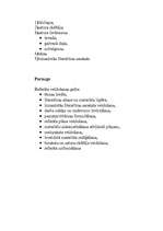 Referāts 'Lietišķie raksti', 18.